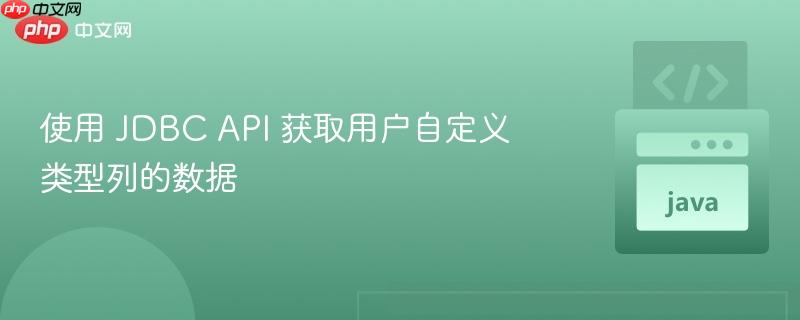 使用 JDBC API 获取用户自定义类型列的数据