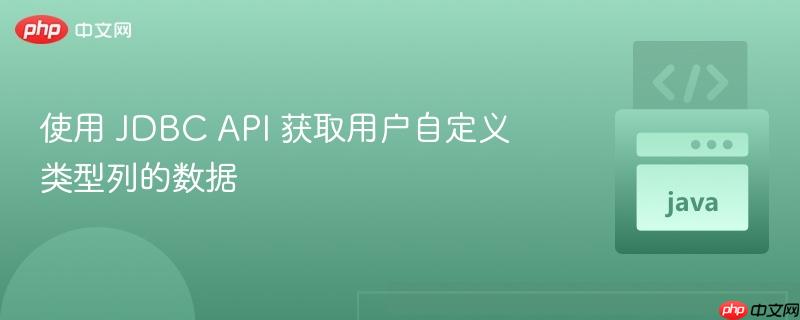 使用 jdbc api 获取用户自定义类型列的数据