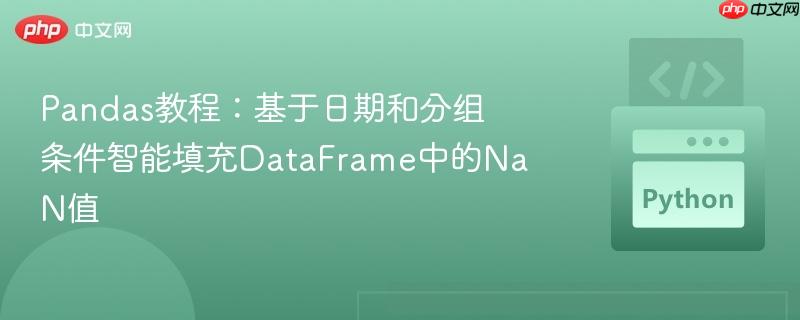 Pandas教程：基于日期和分组条件智能填充DataFrame中的NaN值
