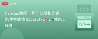 Pandas教程：基于日期和分组条件智能填充DataFrame中的NaN值