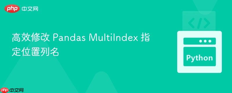 高效修改 Pandas MultiIndex 指定位置列名
