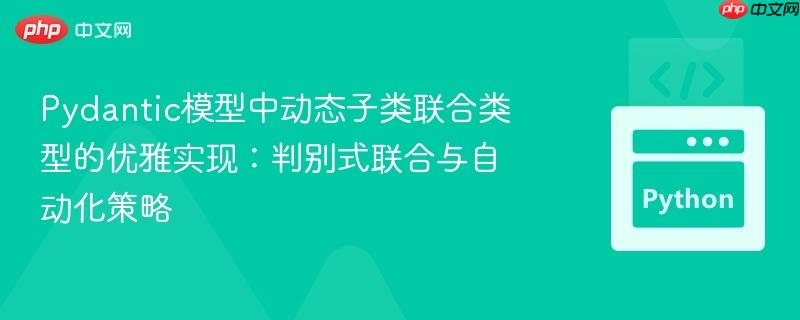 Pydantic模型中动态子类联合类型的优雅实现：判别式联合与自动化策略
