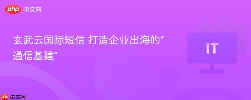 玄武云国际短信 打造企业出海的“通信基建”