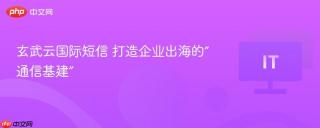 玄武云国际短信 打造企业出海的“通信基建”