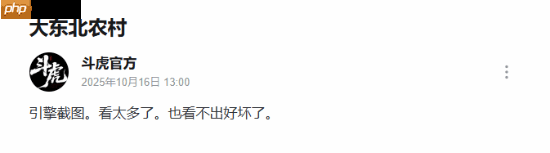 国产抗联新游公开《斗虎》大东北农村新图！称已看不出好坏了