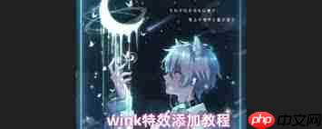 Wink如何添加特效