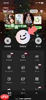 Wink如何添加特效