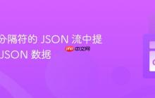 从包含分隔符的 JSON 流中提取有效 JSON 数据