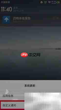 小米四格體驗精華版