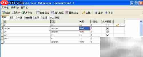 JDBC类型映射错误解决方案