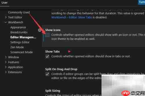 VS Code关闭图标显示方法