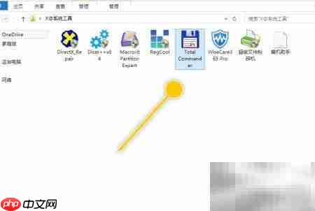 total设置日期显示世纪方法
