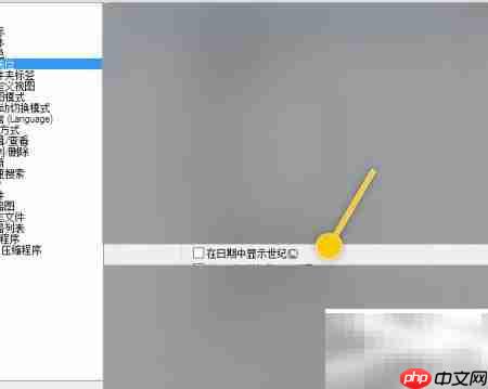 Total设置日期显示世纪方法
