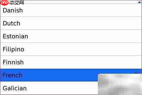 黑莓iSpeech多国翻译工具