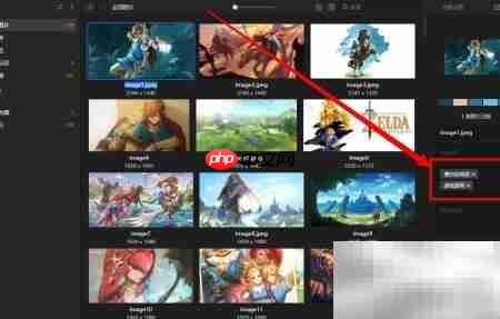 Eagle图片标签添加方法