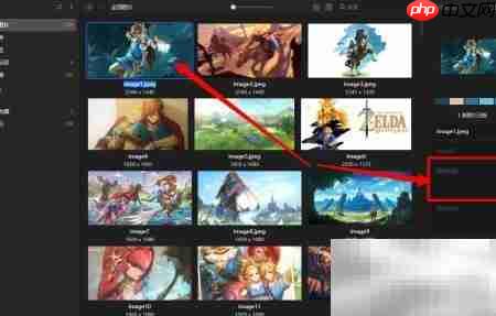 Eagle图片标签添加方法