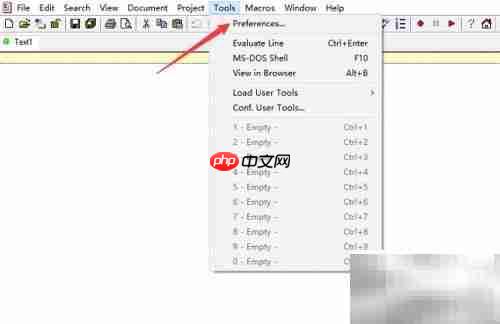 Crimson Editor斜体注释关闭方法