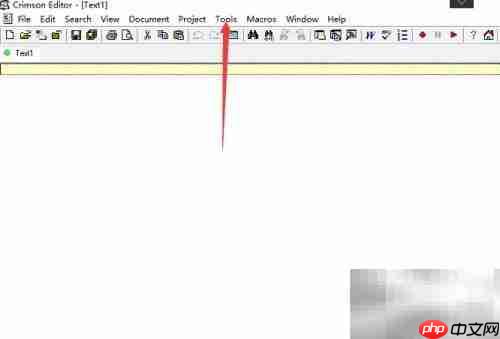 Crimson Editor斜体注释关闭方法