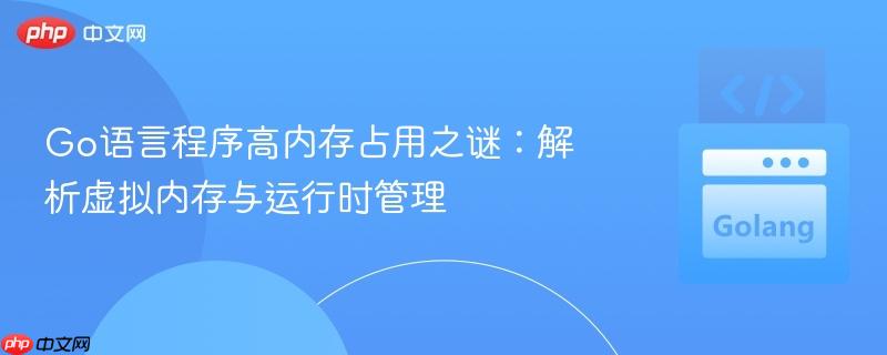 Go语言程序高内存占用之谜：解析虚拟内存与运行时管理