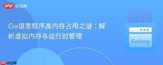 Go语言程序高内存占用之谜：解析虚拟内存与运行时管理