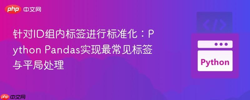 针对id组内标签进行标准化:python pandas实现最常见标签与平局处理