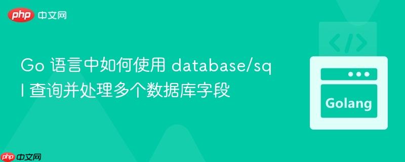 Go 语言中如何使用 database/sql 查询并处理多个数据库字段
