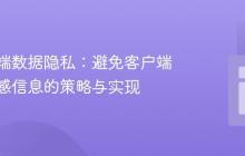 服务器端数据隐私:避免客户端暴露敏感信息的策略与实现