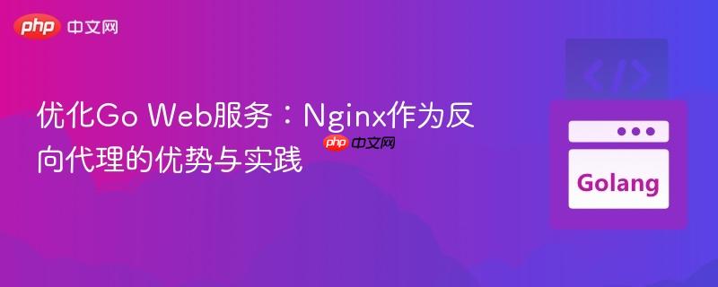 优化Go Web服务:Nginx作为反向代理的优势与实践