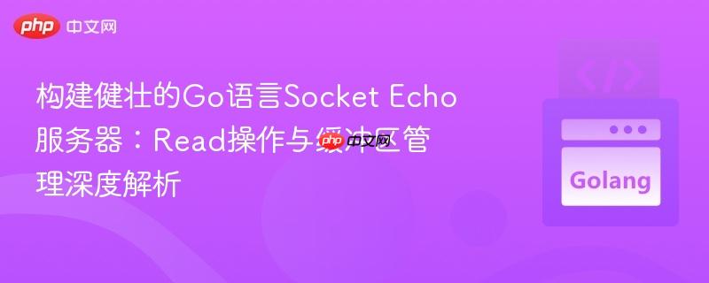 構(gòu)建健壯的go語(yǔ)言socket echo服務(wù)器：read操作與緩沖區(qū)管理深度解析