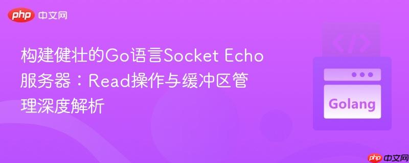 构建健壮的Go语言Socket Echo服务器:Read操作与缓冲区管理深度解析