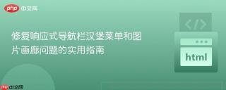 修复响应式导航栏汉堡菜单和图片画廊问题的实用指南