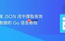 从非标准 JSON 流中提取有效 JSON 数据的 Go 语言教程