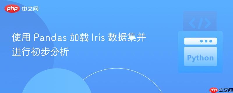 使用 pandas 加载 iris 数据集并进行初步分析