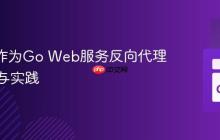 Nginx作为Go Web服务反向代理的优势与实践