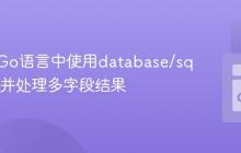 如何在Go语言中使用database/sql包查询并处理多字段结果