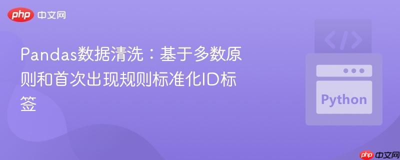pandas数据清洗:基于多数原则和首次出现规则标准化id标签