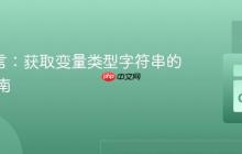 Go 语言：获取变量类型字符串的实用指南