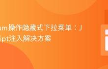 Selenium操作隐藏式下拉菜单:JavaScript注入解决方案