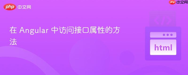 在 angular 中访问接口属性的方法