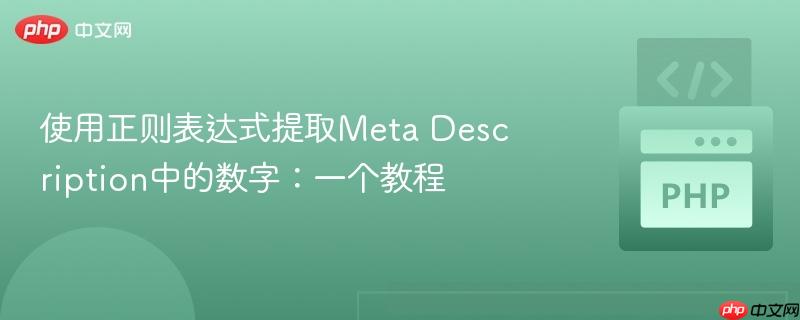 使用正则表达式提取meta description中的数字：一个教程
