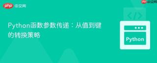 Python函数参数传递：从值到键的转换策略