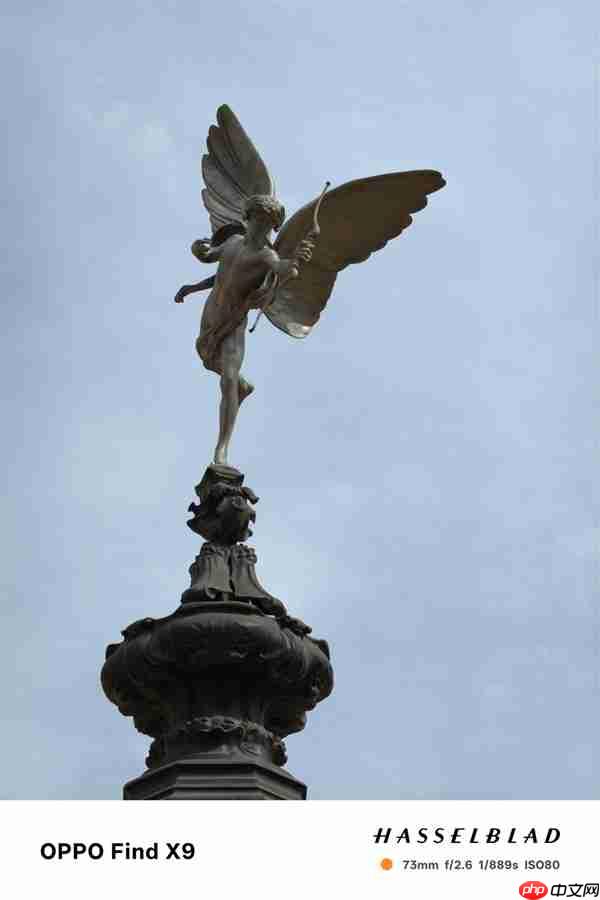 OPPO Find X9影像实测：强得不像标准版