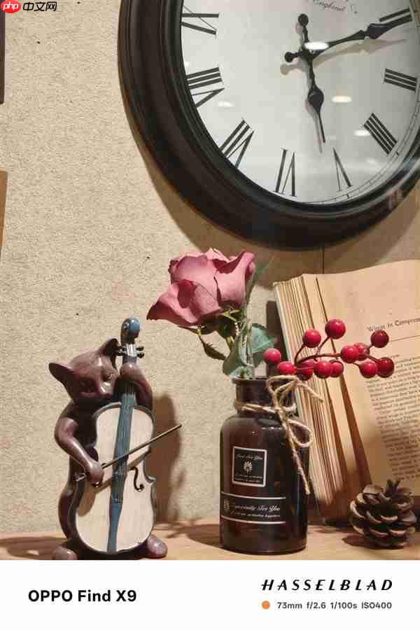 OPPO Find X9影像实测：强得不像标准版