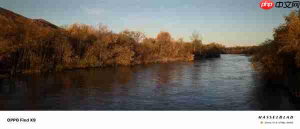 OPPO Find X9影像实测：强得不像标准版