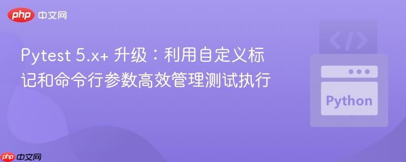 Pytest 5.x+ 升级：利用自定义标记和命令行参数高效管理测试执行