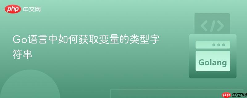 Go语言中如何获取变量的类型字符串