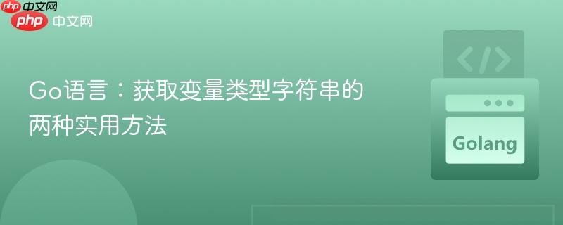 Go语言:获取变量类型字符串的两种实用方法