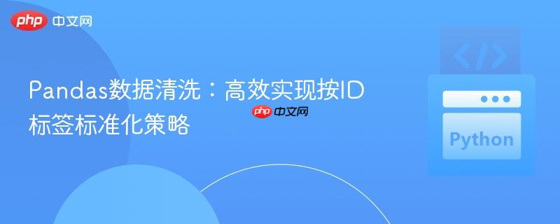 Pandas数据清洗：高效实现按ID标签标准化策略