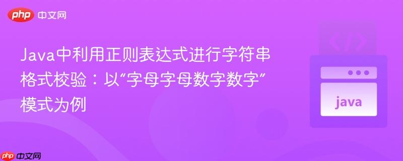 Java中利用正则表达式进行字符串格式校验：以“字母字母数字数字”模式为例
