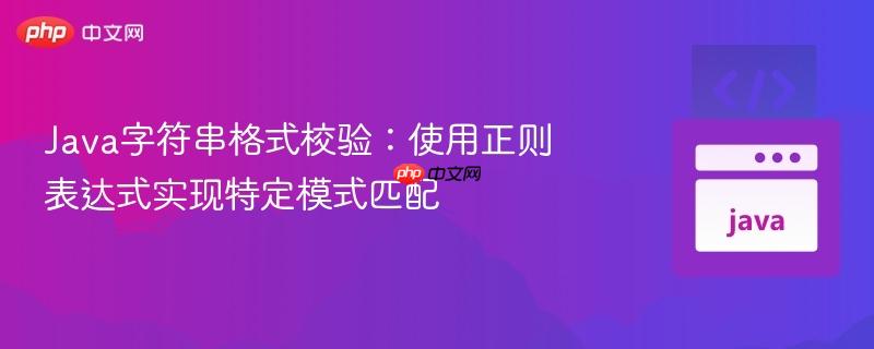 Java字符串格式校验：使用正则表达式实现特定模式匹配